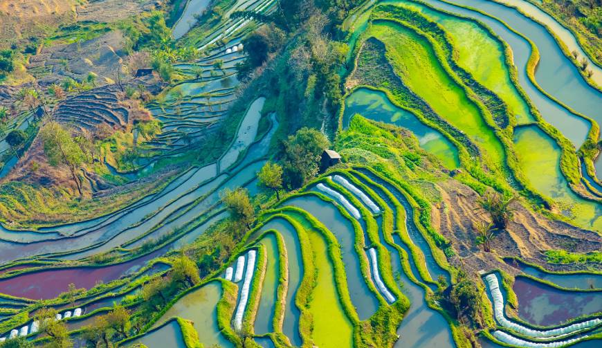 走进青云谱区TVC拍摄：解锁本地化场景与创意镜头的完美融合